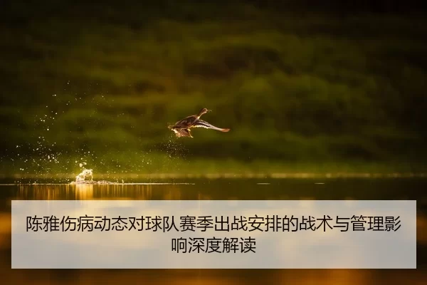 陈雅伤病动态对球队赛季出战安排的战术与管理影响深度解读