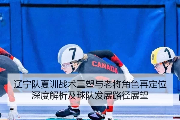 辽宁队夏训战术重塑与老将角色再定位深度解析及球队发展路径展望
